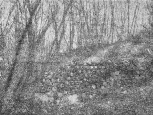 Srapnel- és gránáthalom a Podgorán.