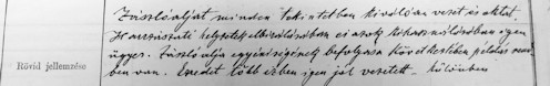 Részlet az 1913-as jellemzéséből.