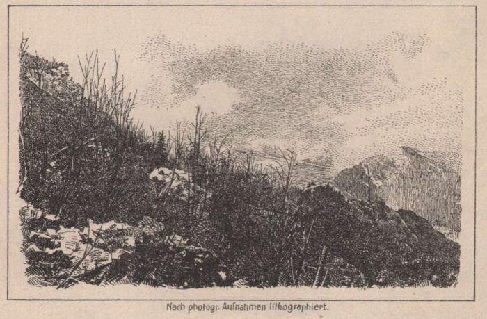 19. számú melléklet