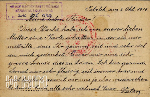 Roób József egyetlen általunk ismert üzenete kifejezetten a gyerekeinek, a 8 éves Józsefnek és az alig 6 éves Emmának. Orosz-francia feliratú, tobolszki kiadású (?) és előrenyomott feladói feliratozású, hátoldalon kipontozott sorokkal ellátott levelezőlap hadifoglyok részére –orosz fekete (1915. szeptember 25.) és vörös tobolszki cenzúrabélyegzés (No. 21.), szögletes lila petrográdi cenzúrabélyegzés (No. 473.l), fekete tobolszki (1915. szeptember. 24.) feladási bélyegzés, két fekete petrográdi postabélyegzés (1915. október 24.és 26.) és a bécsi Központi Ellenőrző Iroda (K. u. K. GEMElINSAMES ZENTRALNACHWEISBUREAU) vörös cenzúrabélyegzése, vörös bécsi cenzúrabélyegzés, diósgyőri-vasgyár érkezési bélyegzés (1915. október 28.)