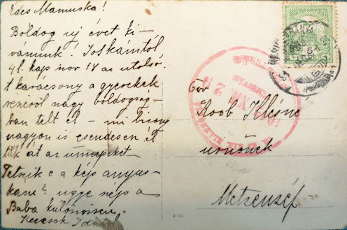 Roób Józsefnét és két gyermekét ábrázoló fotóképeslap, hátoldalon 1915. december 28-i resicabányai feladási bélyegzővel, a cs. és kir. temesvári ellenőrző bizottság 1915. december 29-i cenzúrabélyegzésével. Valószínűleg ezt a képet kaphatta meg Roób József is.