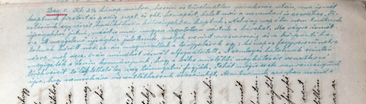 Roób naplójának 187. oldalának részlete, a lapszélre írt fenti szöveggel. Jól látható az eredetihez képest rosszabb minőségű és eltérő színű tinta használata, a helytakarékosabb, kisebb betűs írás. A napok piros ceruzával történő kiemelése valószínűleg később, talán hazatérése után történt.