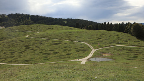 Gránát-szaggatta domboldal a Monte Valbella oldalában.