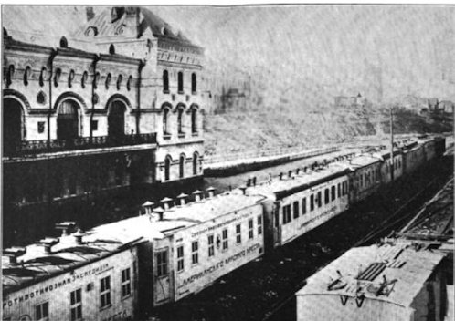 Az Amerikai Vöröskereszt ún. Tífusz-vonata (Typhus Train / Great White Train), amely 1919. február 2-án Vlagyivosztokból indult útnak: a kórházszerelvény nyugat felé haladt, számos városban megállt, többek között Irkutszkban, Cseljabinszkban, Petropavlovszkban, Novonyikolajszkban, Tomszkban és Omszkban, hogy a katonaságot és a civileket tetvetlenítő fürdetéssel, gőzöléssel, hajnyírással, fertőtlenítéssel, gyógyszerrel, ruhaosztással kezelje. Naponta több, mint 900 embert láttak el. – A tífusz az egyik – ha nem éppen a legnagyobb – egészségügyi problémát jelentette az orosz polgárháború idején. A diagnózis két hasonló betegségre utalhatott. Az első a kiütéses tífusz: a Rickettsia prowazeki baktérium okozta, gyengeséggel és testszerte kiütésekkel járó akut fertőzés. Halálozási aránya kezelés nélkül akár 40% is lehetett. A második, a visszatérő tífusz vagy relapszusos láz, amelyet a Borrelia recurrentis baktérium okoz, hirtelen lázrohamokkal és normál testhőmérsékletű időszakok váltakozásával járó betegség. Halálozási aránya elérhette a 70%-ot. A közös terjesztő (ruhatetű), a hasonló tünetek, a zsúfoltság és az éhínség miatt a korabeli orvosok a két kórokozót még nem különítették el, és mindkét kórképet tífusznak nevezték.