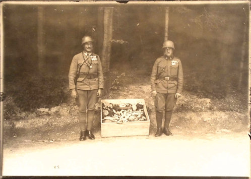 Négyesi Szepessy András őrnagy posztumusz lovagkeresztje. A m. kir. budapesti 30. honvéd gyalogezred századosaként és zászlóaljparancsnokaként érdemelt ki a magas rangú elismerést.