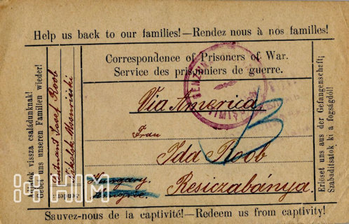 Roób József feleségének írt lapja. „Adjatok vissza családunknak! Szabadítsatok ki a fogságból!” Magyar, német, angol, francia nyelvű nyomtatott – feltehetőleg vlagyivosztoki kiadású, az intervenciós erőkhöz köthető, ritkaságszámba menő – hadifogoly-levelezőlap elmosódott orosz lila cenzúrabélyegzővel és temesvári lila cenzúrabélyegzővel.